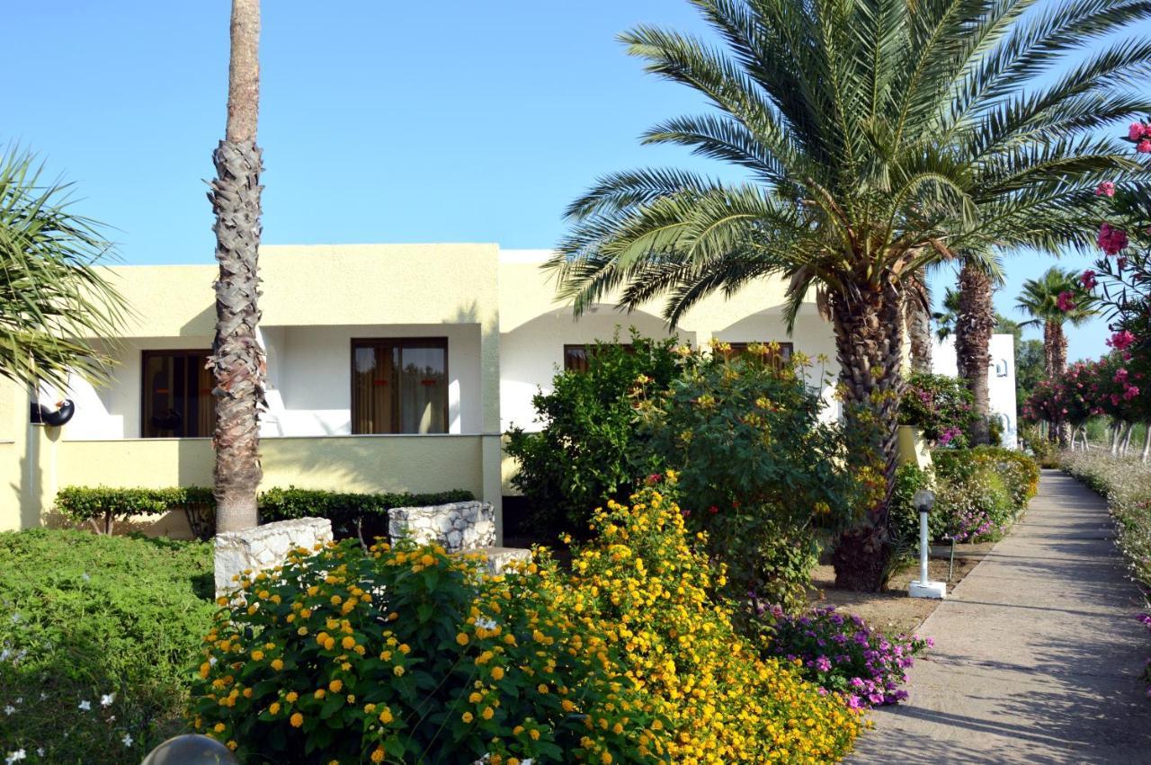 Muses Hotel Faliraki Buitenkant foto